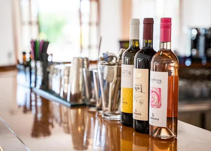 酒店 Casa Garden 阿莫皮